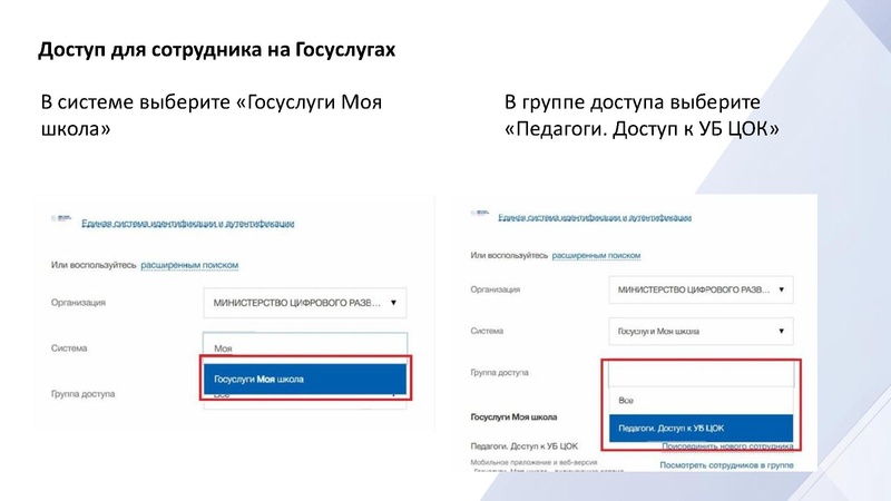 Файл:Доступ для сотрудника на Госуслугах.pdf